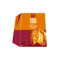 Favorina Panettone Classico Glutensiz Kek 350g